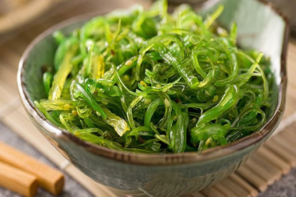 Seaweed